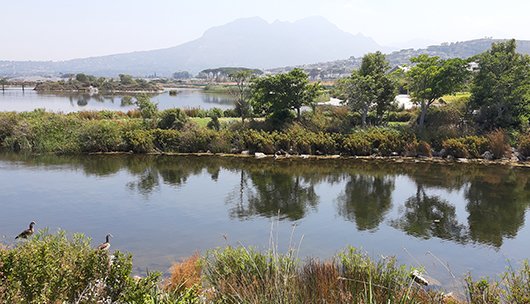  Bedroom Property for Sale in Somerset Lakes Western Cape